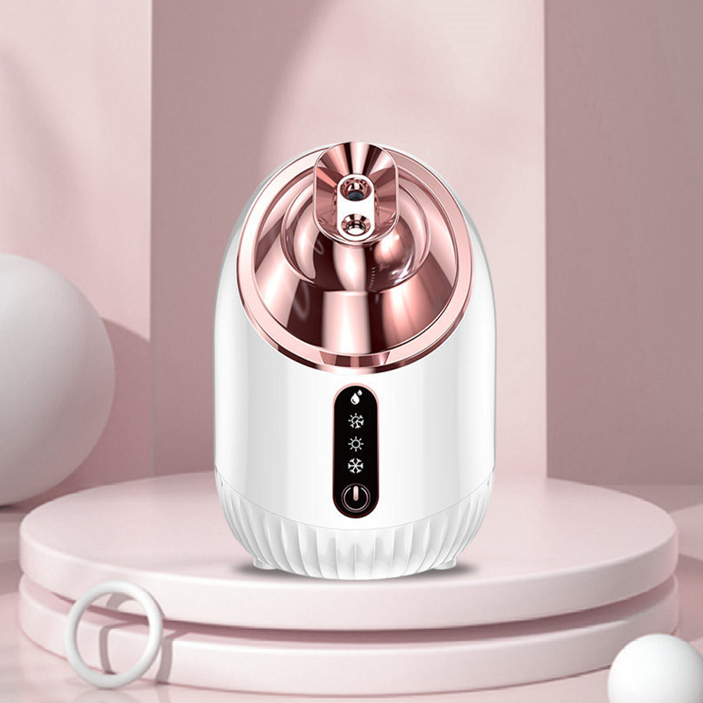 Gesichtsdampfer mit Kalt- und  – Face Steamer Bewertung und Preis